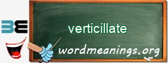 WordMeaning blackboard for verticillate